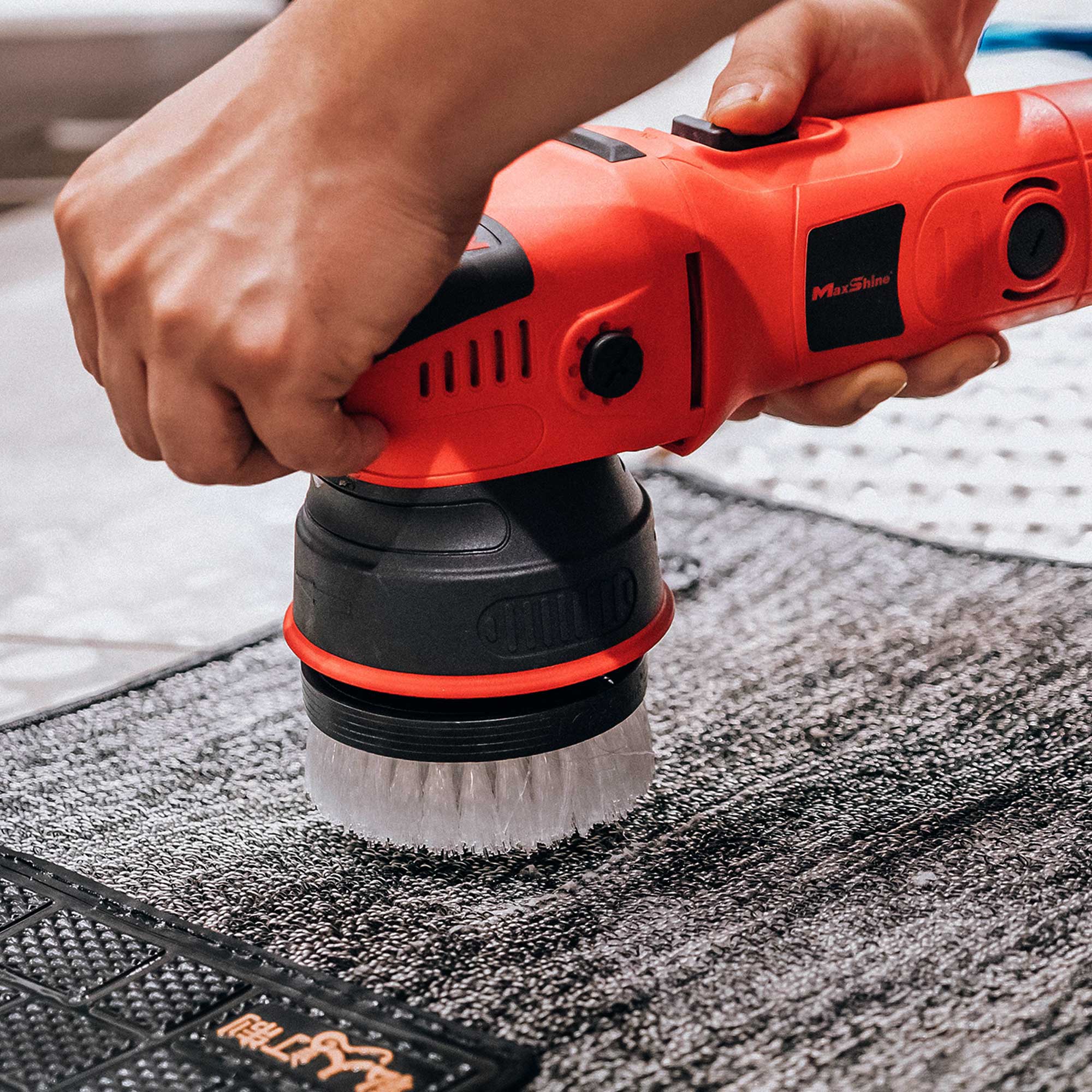 Dual Action Carpet Brush (3.5") - MAXSHINE